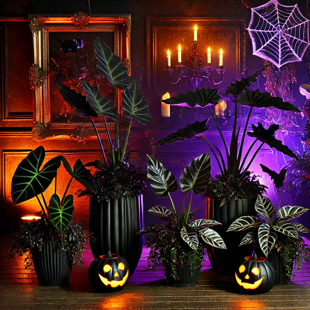 10 Best Goth Plants for Halloween (with pictures)